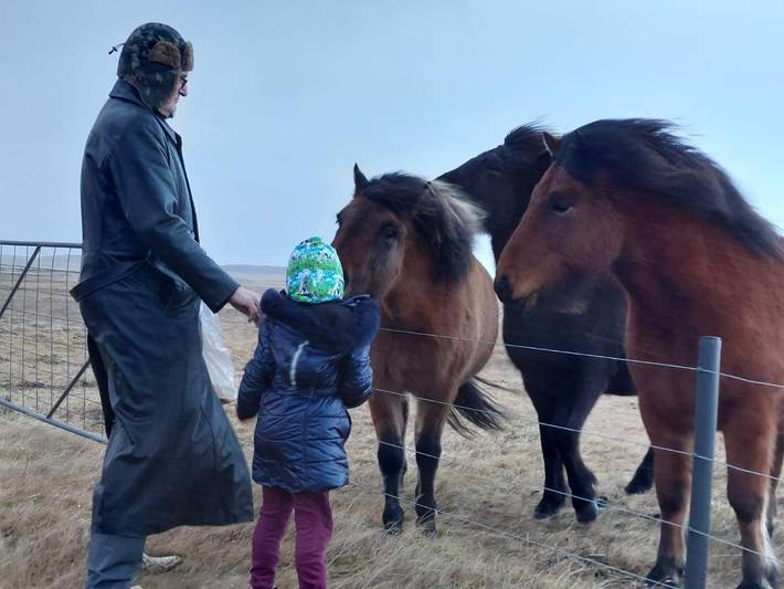 Maison d’hôte pour 3 personnes, avec vue et terrasse en Islande - 4