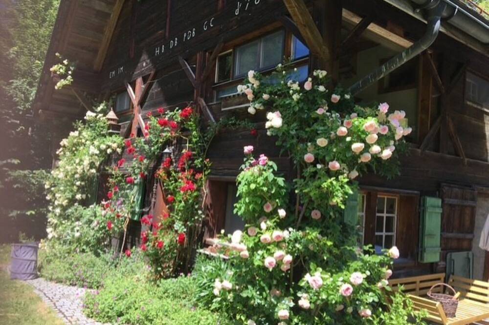 Rougemont Hideaway Chalet by the River in Rougemont, Alpes Vaudoises