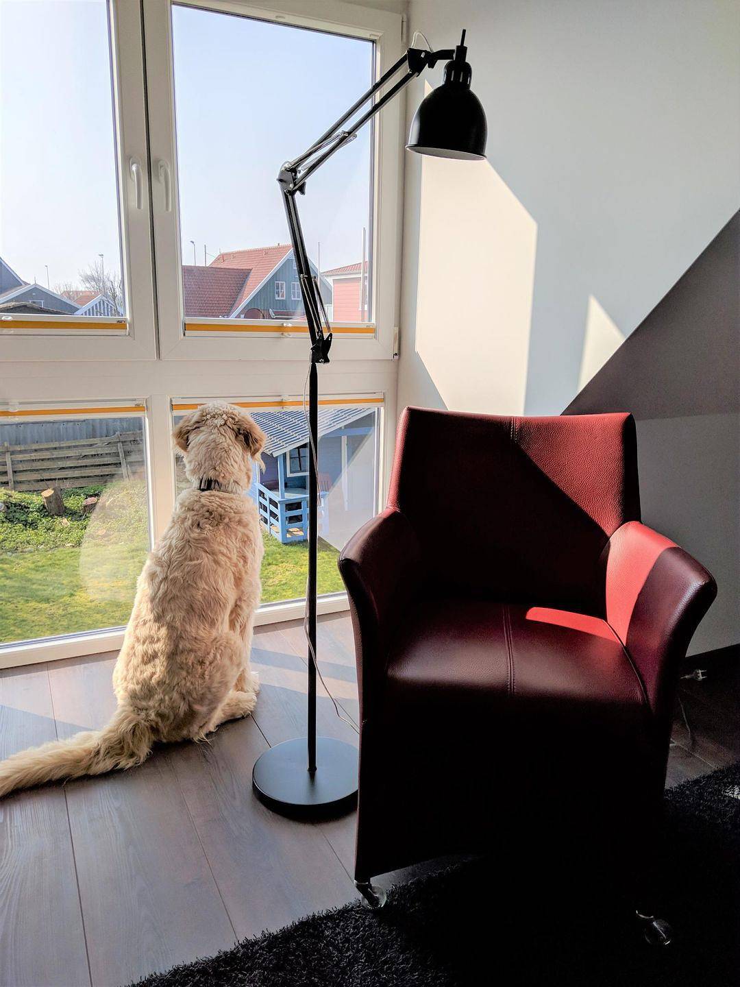 Apartamento entero, Neu renovierte, moderne Ferienwohnung 'Jan' am Langeooger Ortsrand in Langeoog