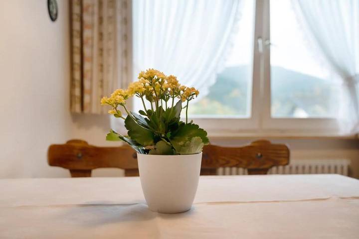 Gîte pour 4 personnes, avec balcon dans Bad Peterstal - 2