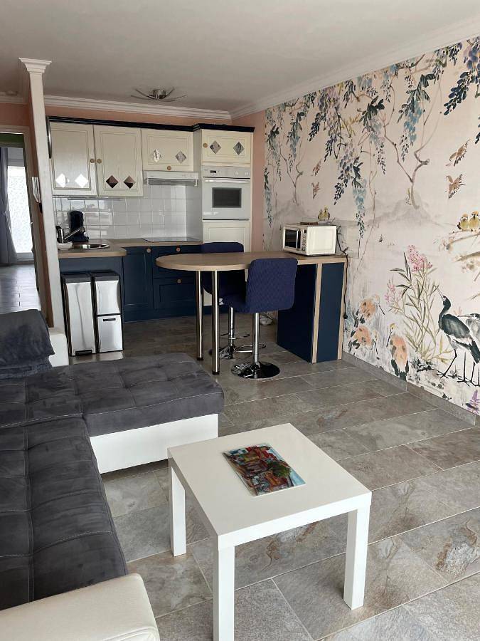 Gîte pour 4 personnes, avec terrasse ainsi que piscine et vue, animaux acceptés à Bray-Dunes - 3