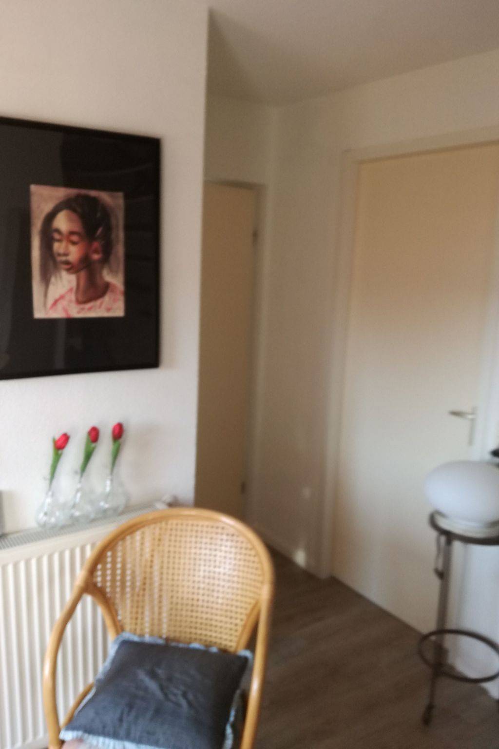 Einmalige, ruhige Ferienvilla im Grünen in Hoofdplaat, Zeeuwse Kust