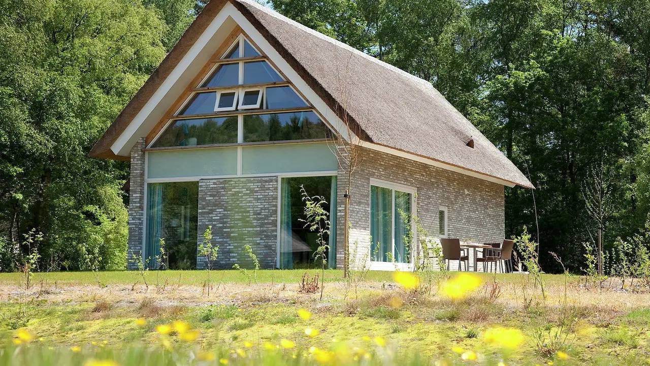 Villa für 8 Personen (138 m²) in Ruinen in Ruinen, Nationalpark Dwingelderveld