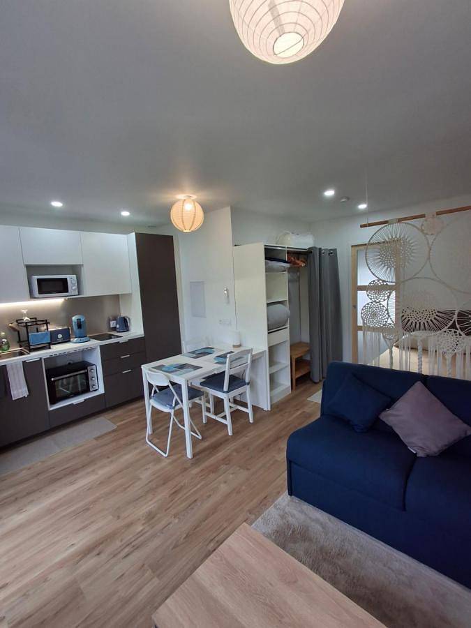 Gîte pour 3 personnes, avec terrasse à Chassieu - 3