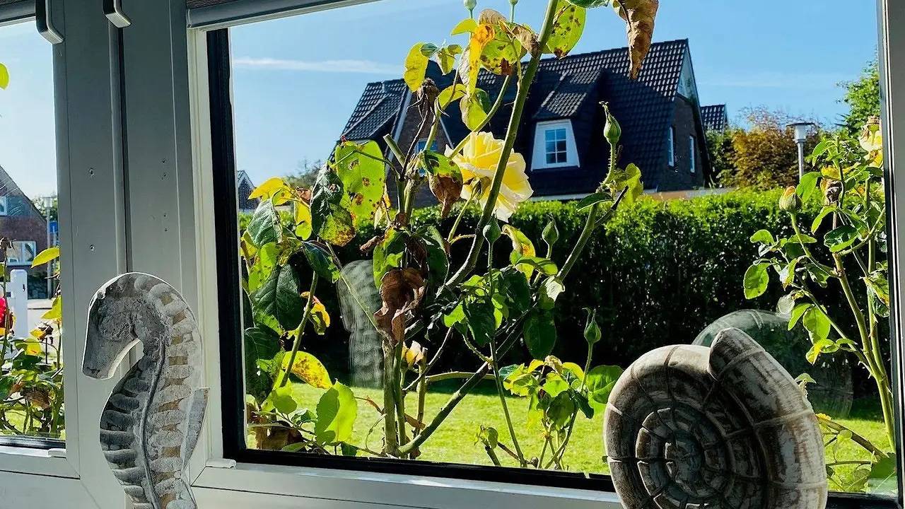 Ferienhaus für 6 Personen (110 m²) in Westerland (Sylt) in Westerland, Sylt (Gemeinde)