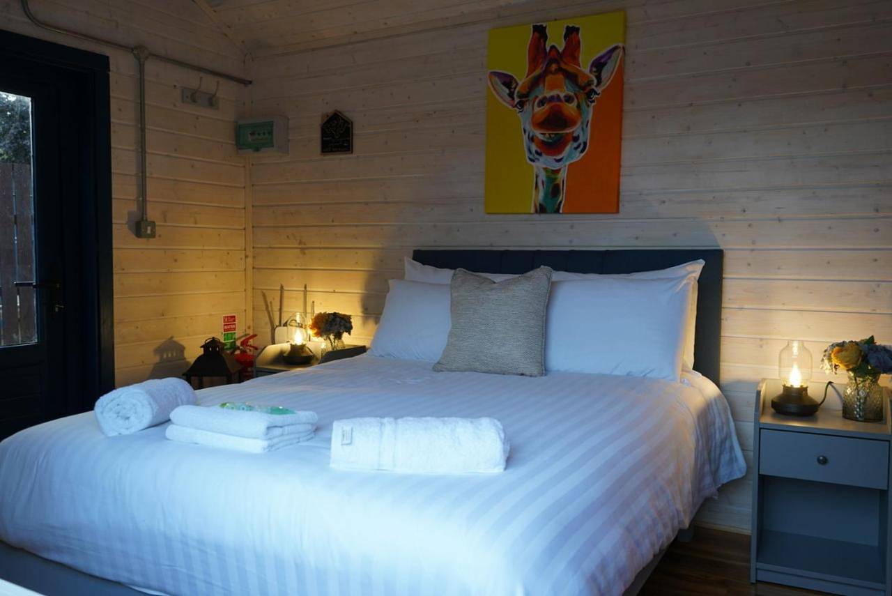 Double Room with Private Bathroom in County Wicklow