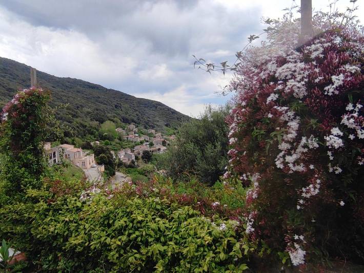 Location de vacances pour 2 personnes, avec jardin et vue à Sollacaro - 2