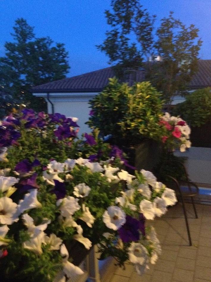 Casa vacanza, con Balcone e Terrazza nonché Panorama a Anzola dell'Emilia