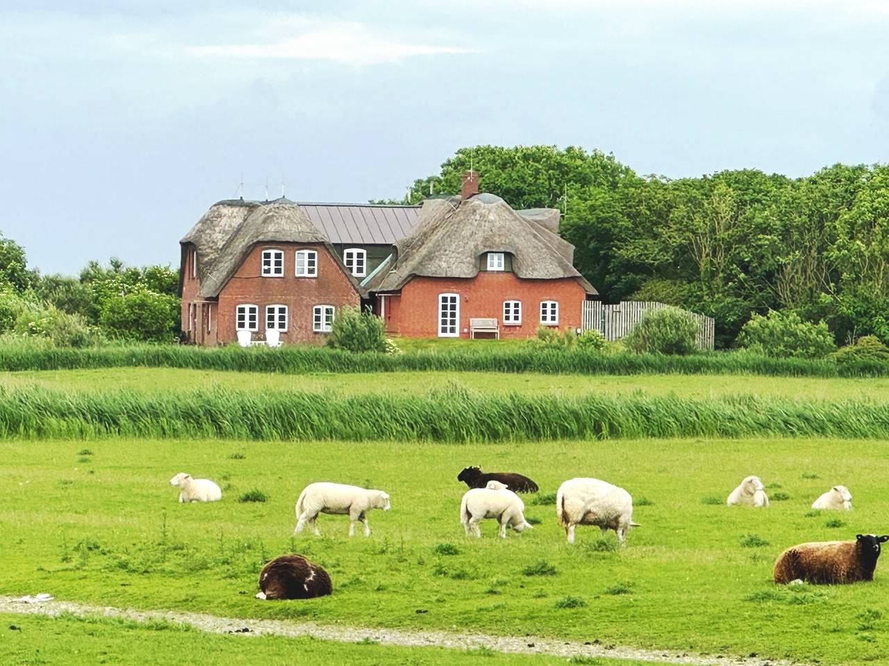 Geheel appartement, Appartement 'Graugans' met Privéterras, Privétuin en Wi-Fi in Pellworm, Noord-Friesland