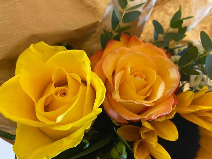 Ferienhaus für 2 Personen, mit Ausblick und Garten sowie Terrasse in Düsseldorf - 3