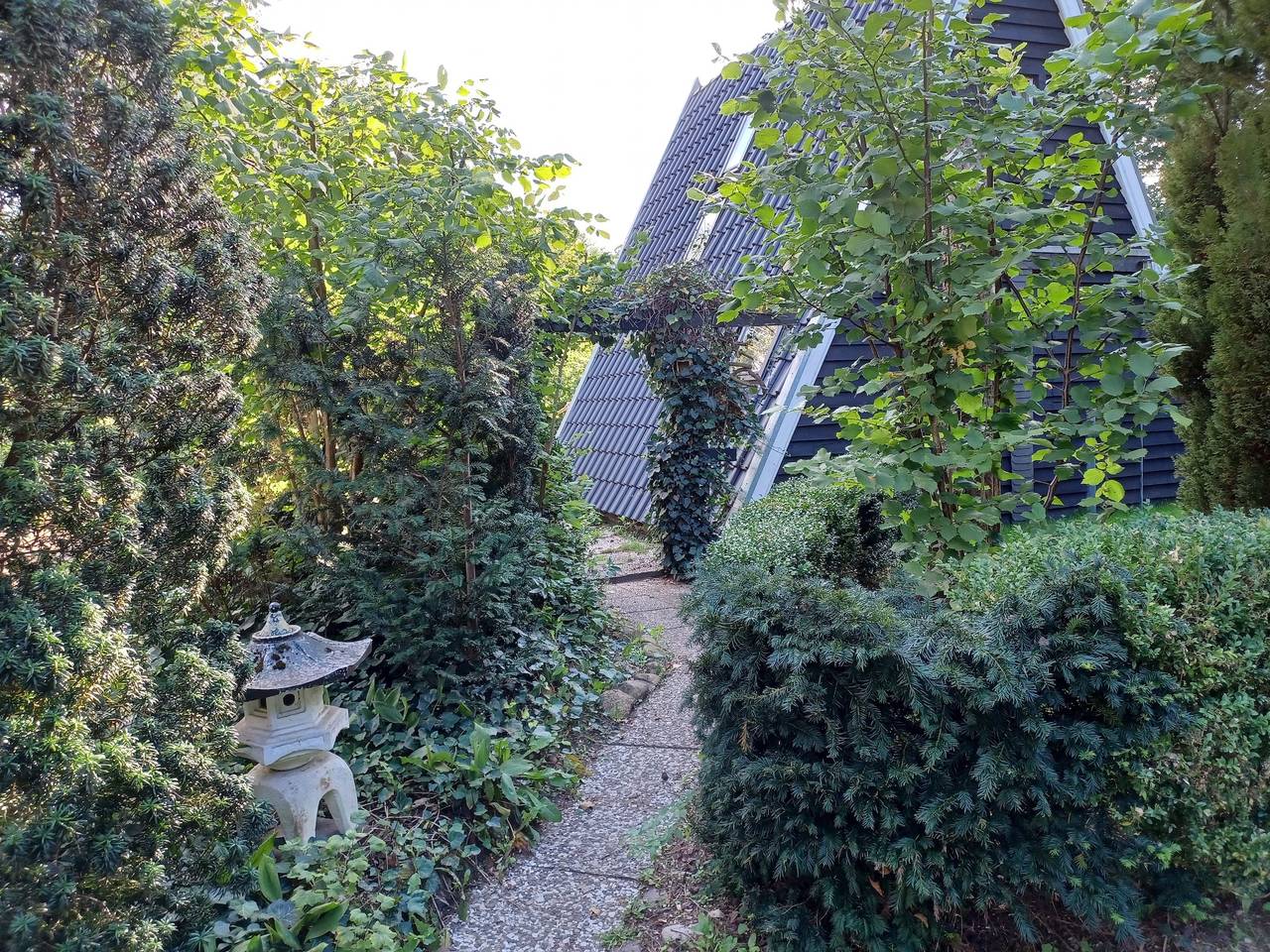 Ferienhaus bis 25cm Höhe erlaubt! in Dannenberg, Elbtalaue