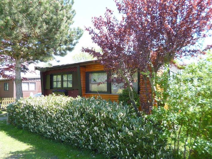 Ferienhaus für 4 Personen, mit Terrasse und Garten sowie Seeblick in Osnabrücker Land - 3