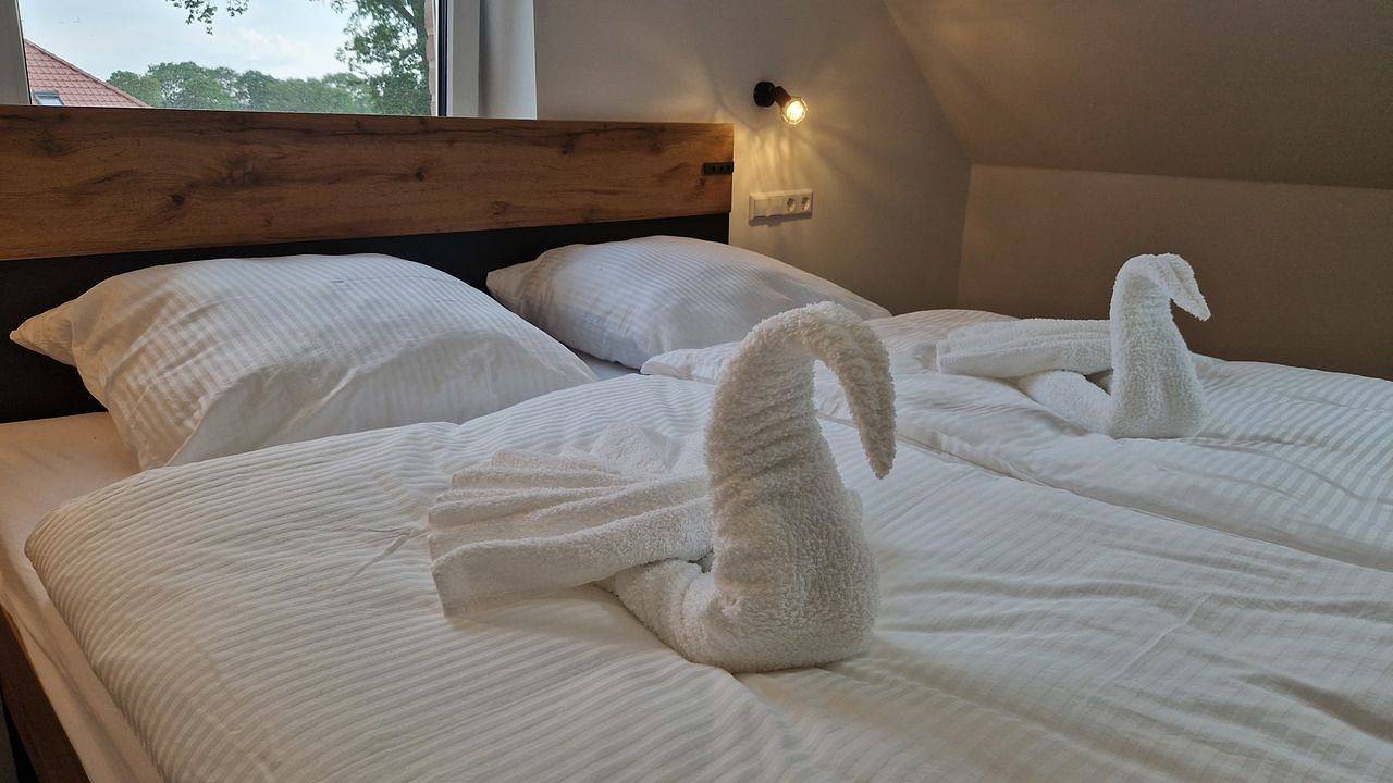 Ganze Ferienwohnung, Ferienwohnung für 4 Personen (75 m²) in Haselünne in Haselünne, Hasetal