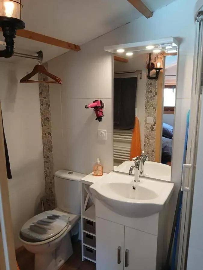 Gîte pour 2 personnes, avec jardin ainsi que piscine et terrasse à Mercuer - 4