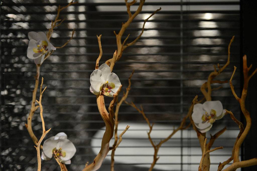 L'Orchidée : une suite au bord du lac d'Annecy - Suite in Sévrier, Parc naturel régional du Massif des Bauges