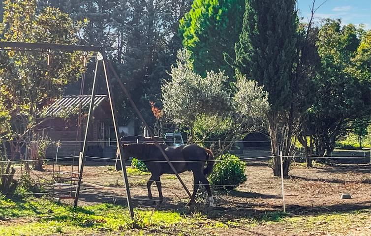 Cozy Apartment with WiFi & Parking near Cabannes in Cabannes, Arles region