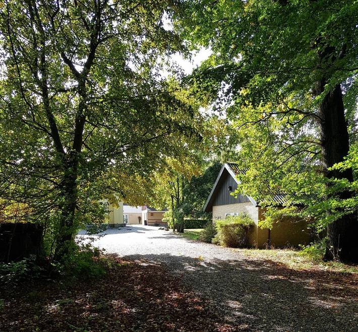 Ferienwohnung für 2 Personen, mit Terrasse und Garten in Dänemark - 4