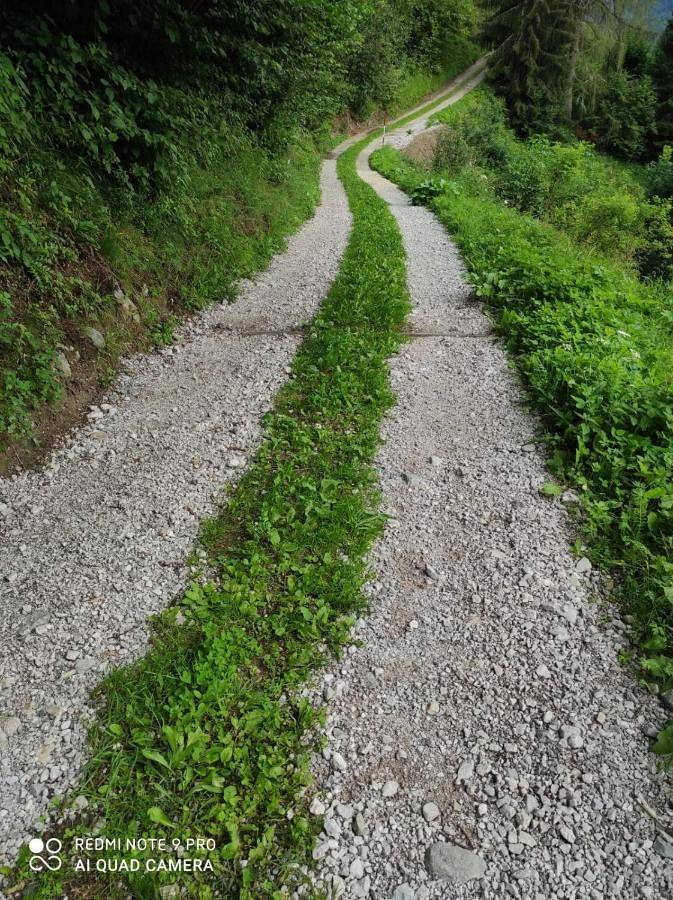 Location de vacances pour 2 personnes, avec terrasse et jardin à Santo Stefano di Cadore - 4