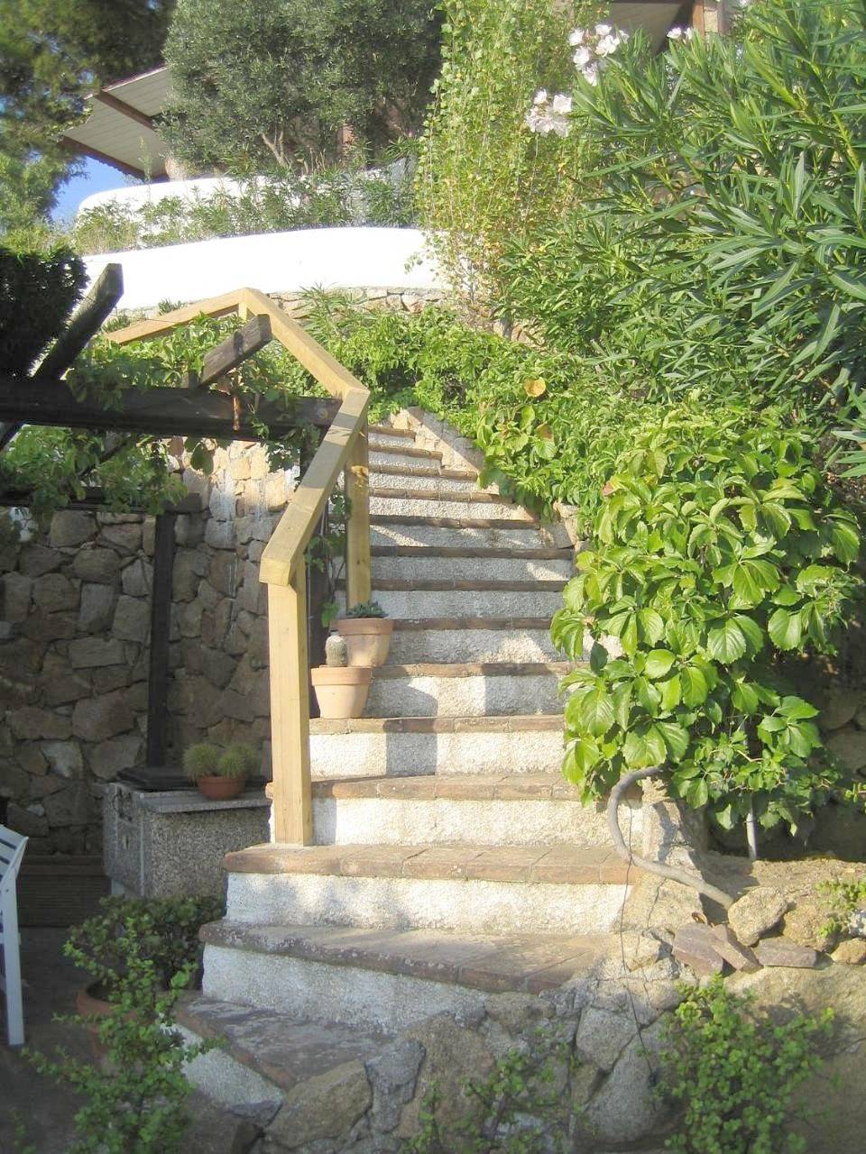 La Bouganville in Le Cannelle, Isola del Giglio