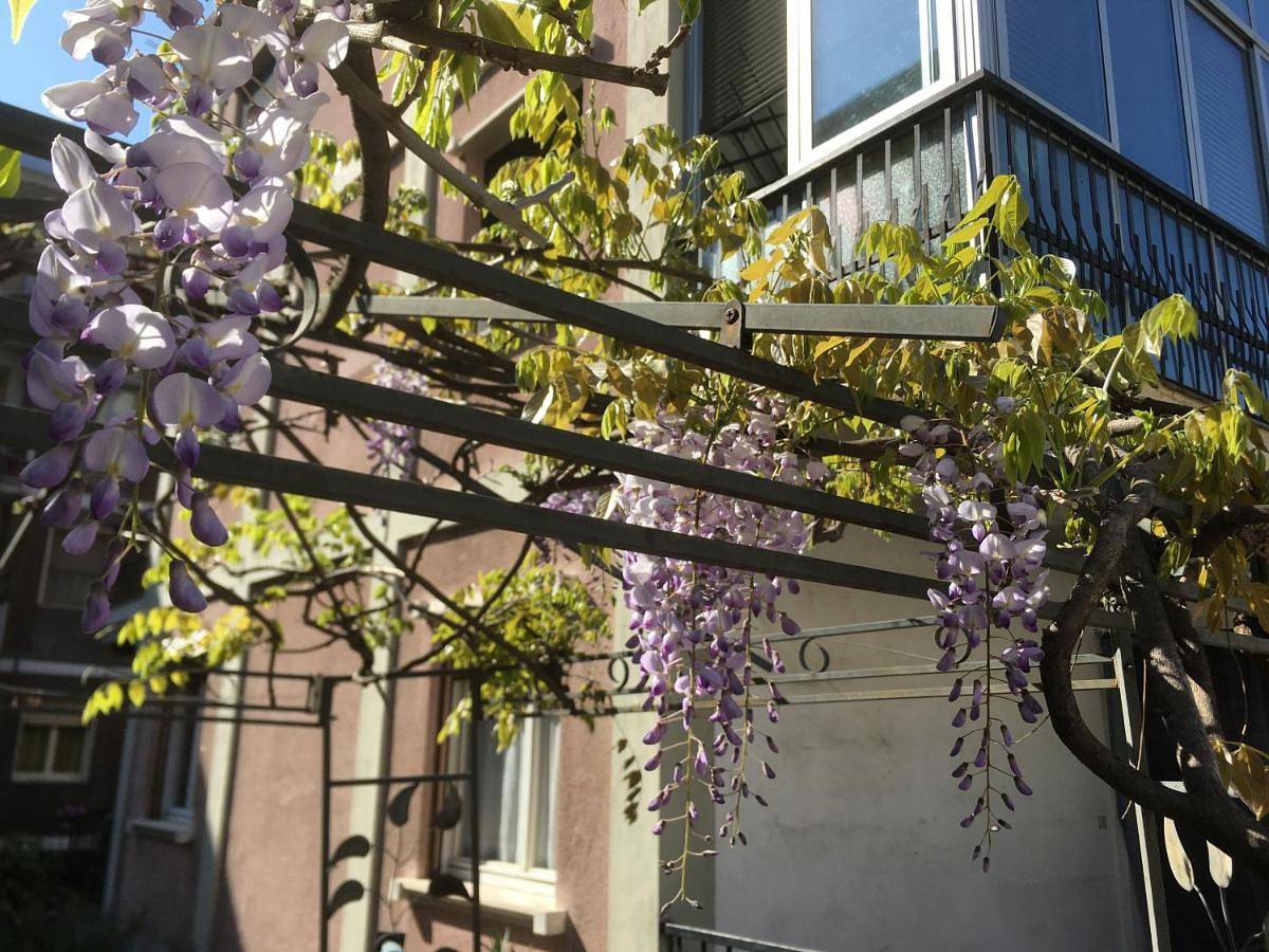 Il Broletto B&B in Novara (Italia), Provincia di Novara