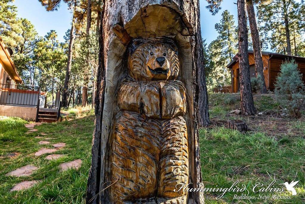 Ein großartiges Bergvergnügen: \"Kommen Sie und entspannen Sie sich maximal\" mit Whirlpool. in Alto, Ski Apache