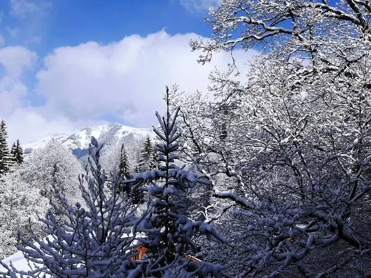 Ganze Wohnung, 8 Pièces 9 Personnes in Gstaad, Saanen