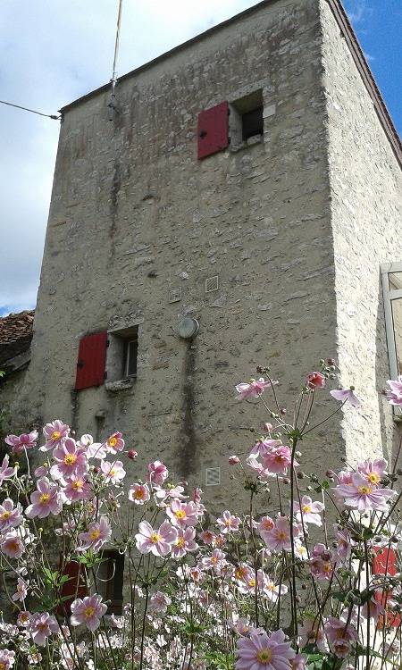 Gîte pour 14 personnes, avec jardin et terrasse en France - 2