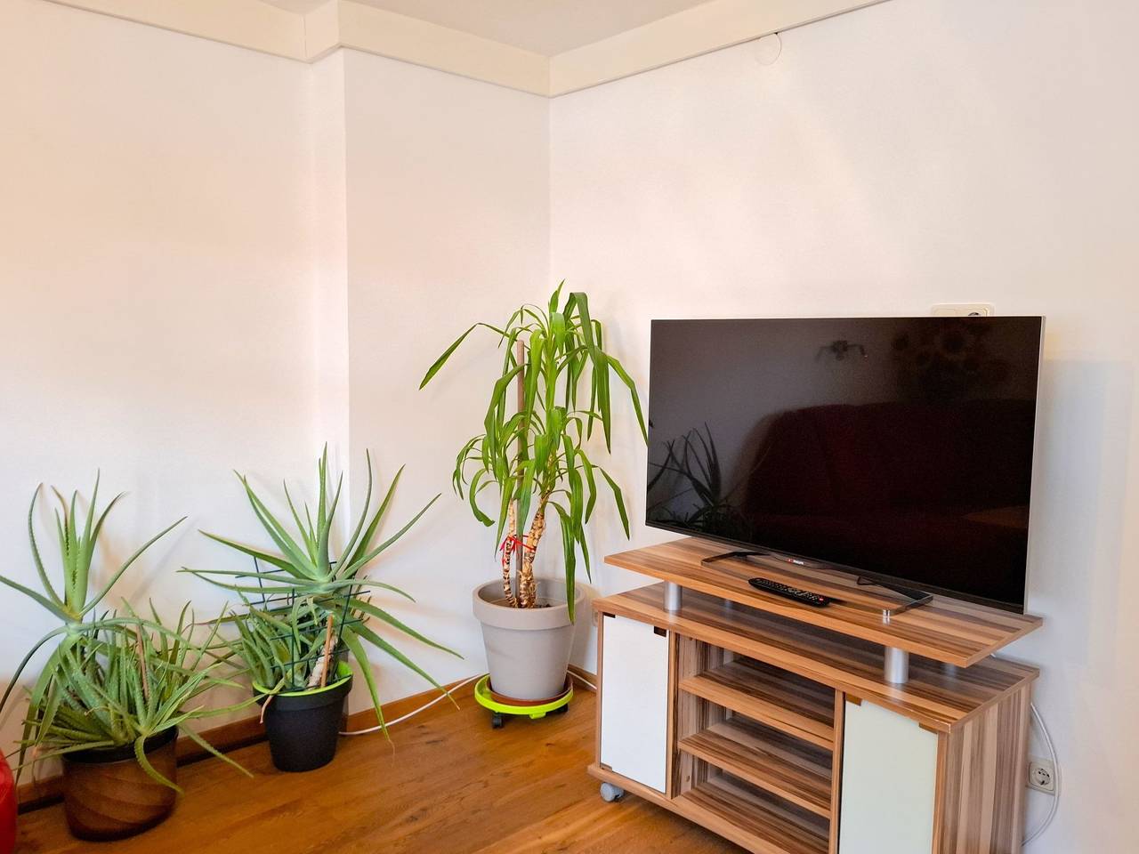 Ganze Wohnung, Schachner in Saalbach, Saalbach-Hinterglemm