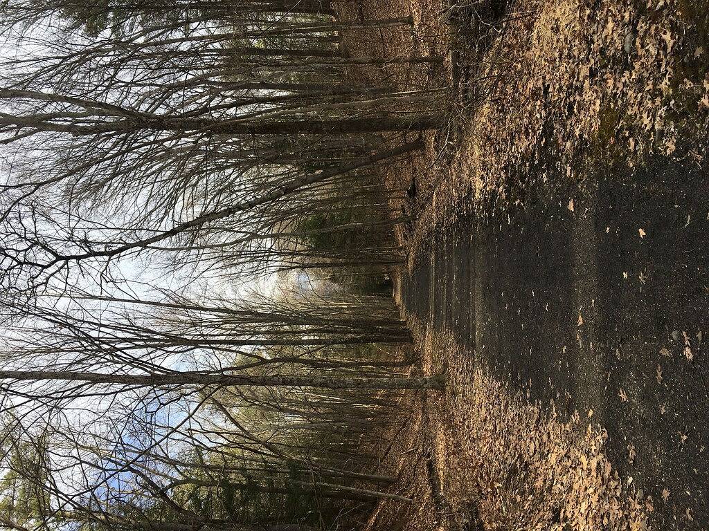 Leggett Cottage, hohe Fälle, Ny. in Ulster County