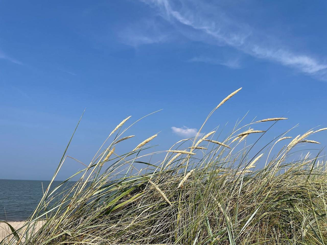 Ganze Ferienwohnung, Ferienwohnung "49.4.M Ankerplatz & 49.4.N Nordkoje" - Fw "49.4.M Ankerplatz" - Mellumweg 1 in Schillig Strand, Wangerland