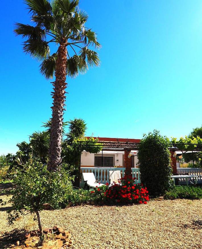 Chalet para 4 personas, con piscina además de vistas y jardín en Extremadura - 4