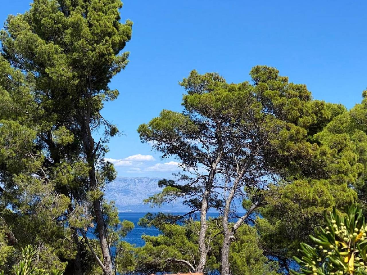Apartamento entero, Apartments Dario in Jelsa, Hvar (isla)