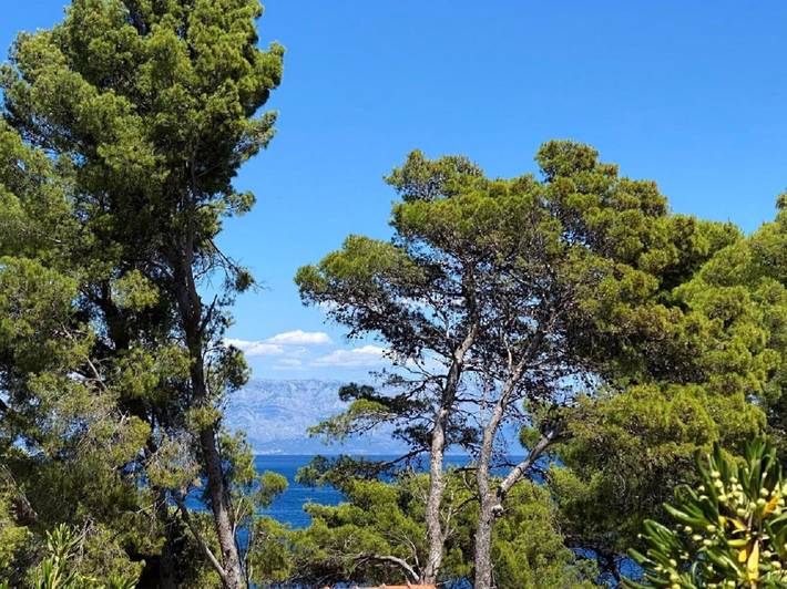 Appartement entier, Apartments Dario in Jelsa, Hvar