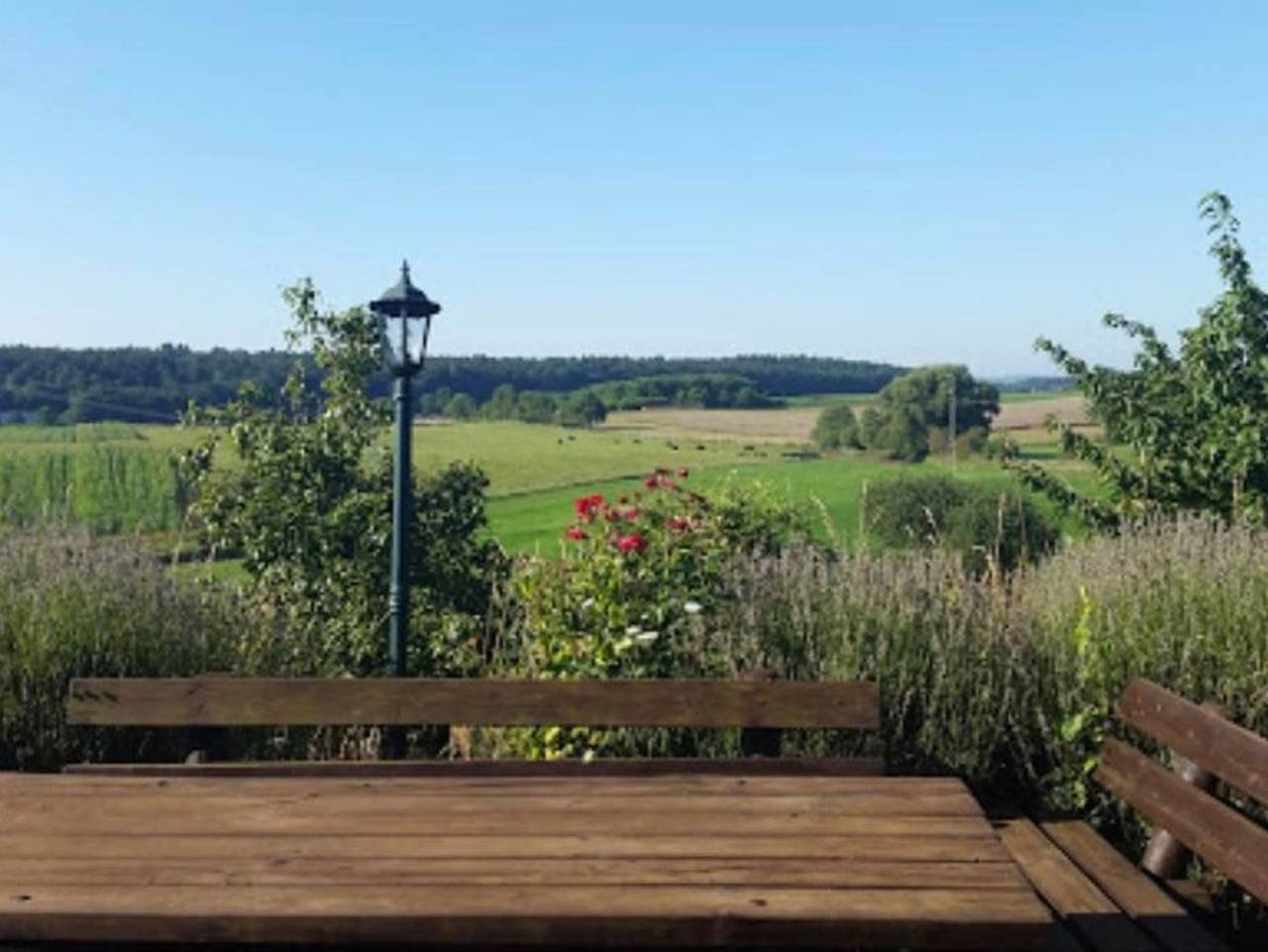 Ganze Ferienwohnung, Bernd's Blockhaus in Weilerbach, Saar-Nahe-Bergland