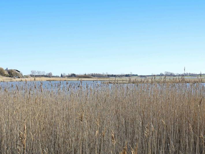 Ferienhaus für 4 Personen, mit Terrasse, kinderfreundlich auf Fünen - 2