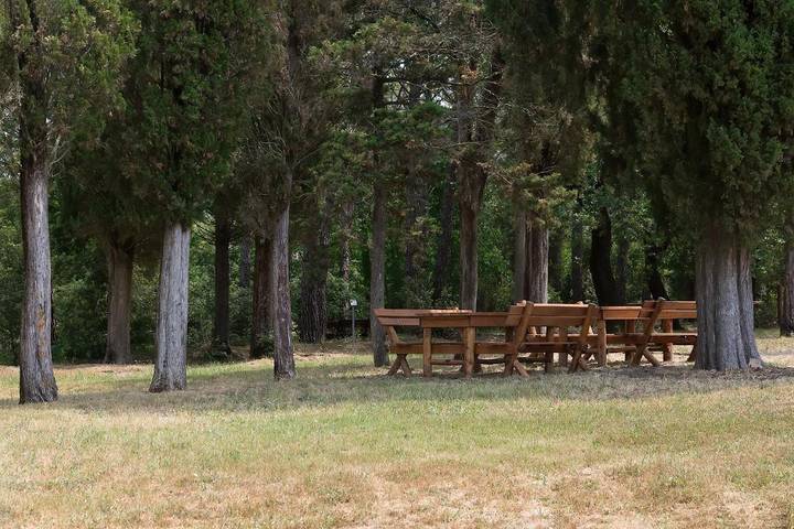 Maison d’hôte pour 3 personnes, avec Jardin et Piscine à Volterra - 4