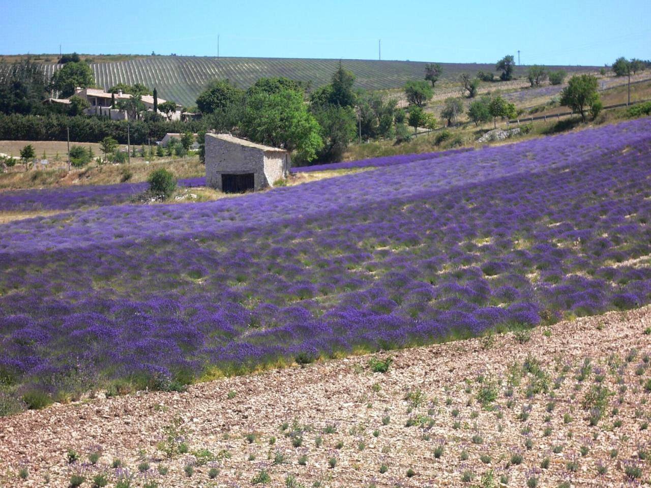 La Lauren in Ferrassières, Région de nyons