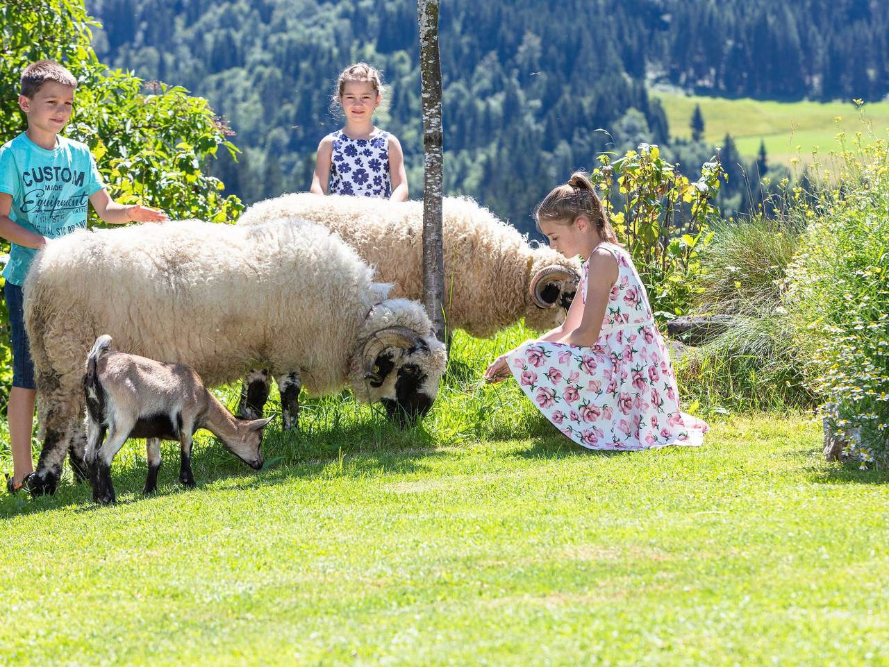 Biobauernhof Mittermoos - Apartment Wildseeloder in Fieberbrunn, Bezirk Kitzbühel