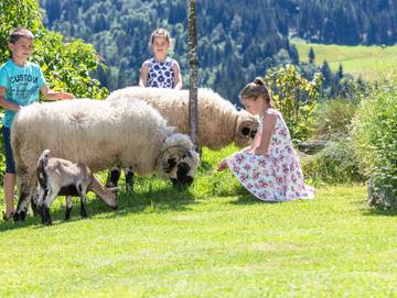 Ferienhaus für 2 Personen in Fieberbrunn, Kitzbüheler Alpen, Bild 3