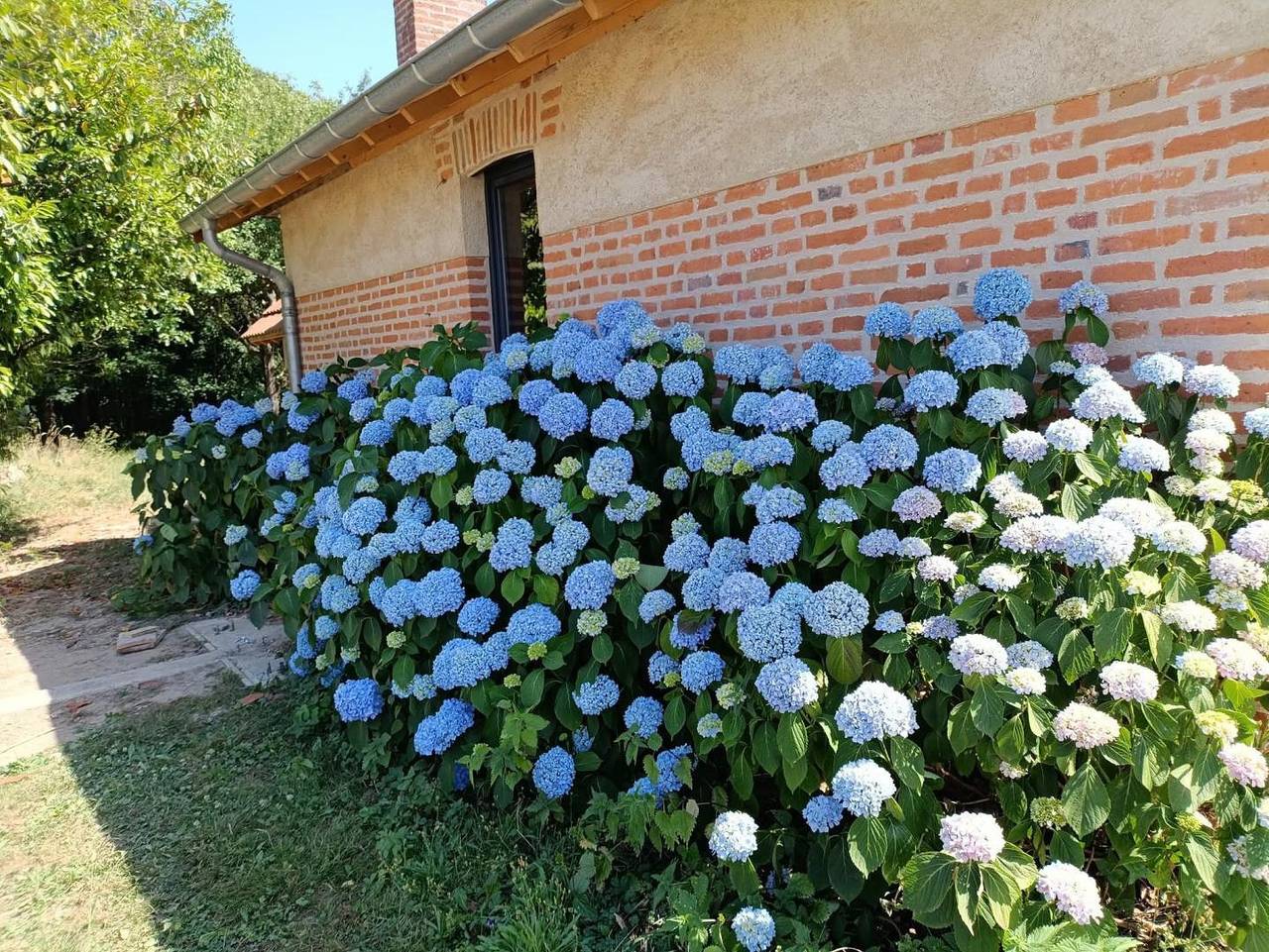 Aux Cœurs de Céliane in La Chapelle-Saint-Sauveur, Région de Louhans