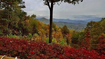 Log Cabin for 2 People in Blue Ridge Mountains, Fontana Lake, Photo 4