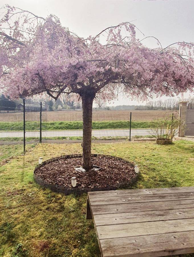 Location de vacances pour 4 personnes, avec jardin et vue dans Breteau - 4
