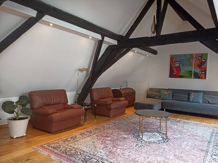 Entire holiday apartment, Quiet Duplex of 120 sqm in Historical Center in Brussels, Brussels region