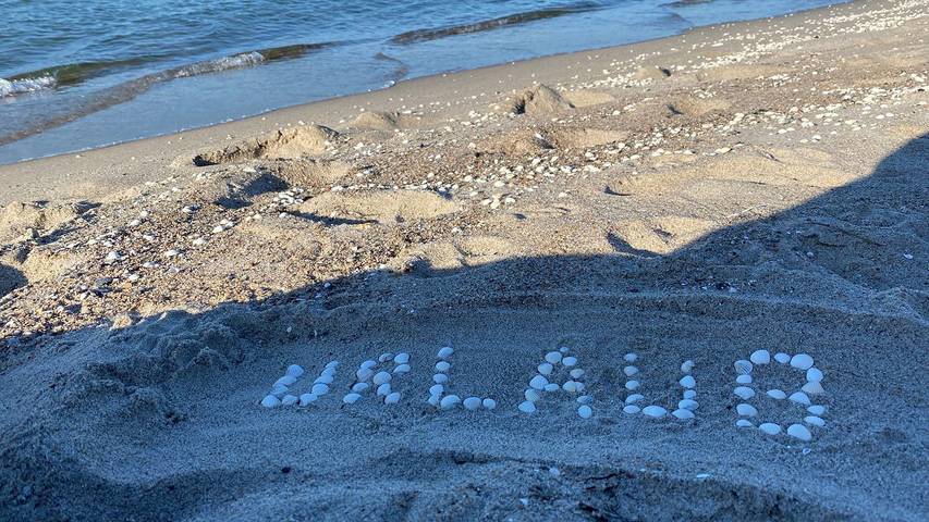 Ferienwohnung für 3 Personen, mit Garten und Terrasse in Sagard - 2