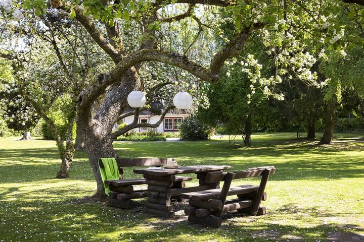 Ferienhaus für 25 Personen, mit Sauna und Garten in Schleswig-Holstein - 3