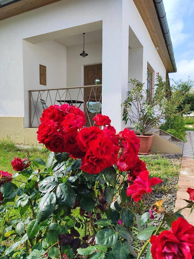 Apartament wakacyjny dla 4 osób, z Taras i Ogród w Tiszafüred