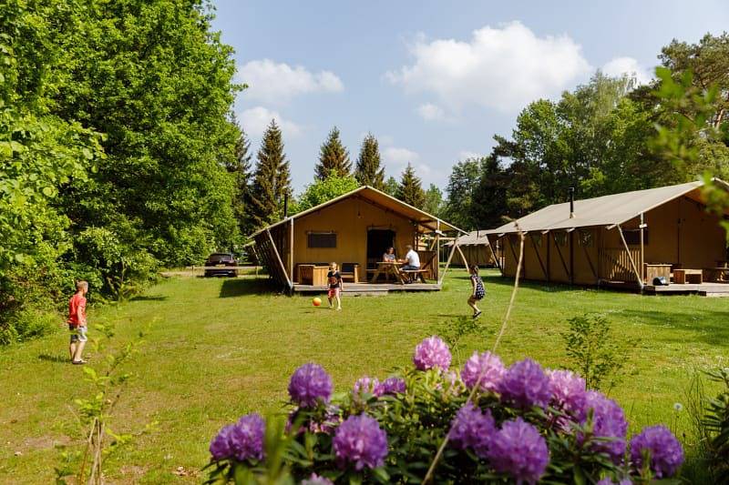 Camping voor 7 Personen in Friesland, Nederland
