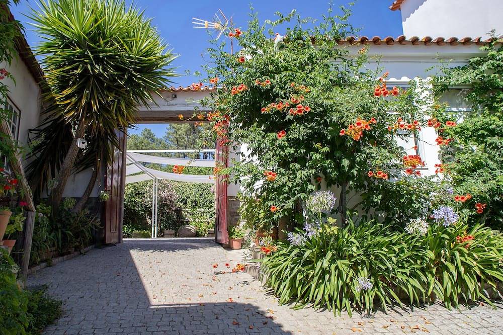 Quinta Da Estrada Douro-vallei, foto 14