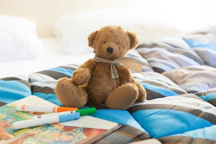 Hôtel pour 2 personnes, avec terrasse, animaux acceptés dans Vongy - 4