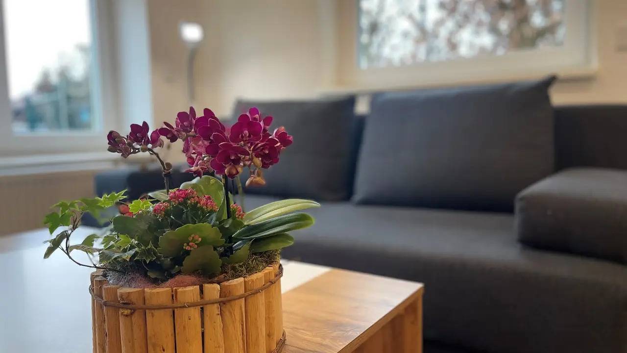 Ganze Ferienwohnung, Ferienwohnung für 4 Personen (54 m²) in Bayerisch Gmain in Bayerisch Gmain, Berchtesgadener Alpen
